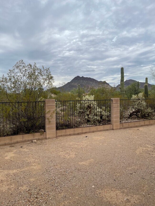 Building Photo - Southwest Beauty
