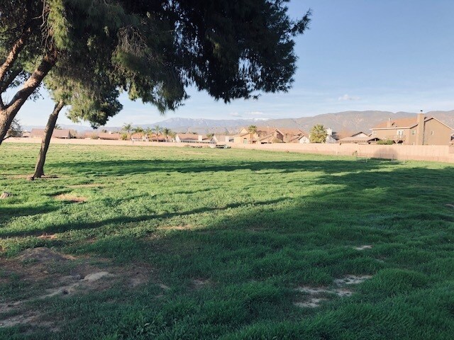 Large Back Yard - 2087 W 7th St
