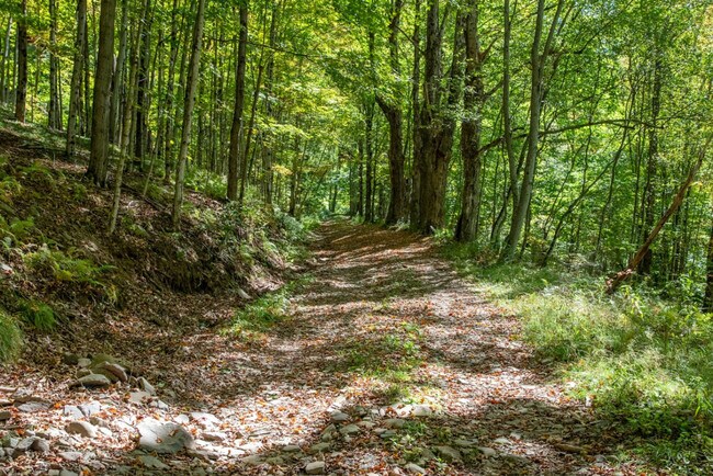 Building Photo - 1087 State Rd