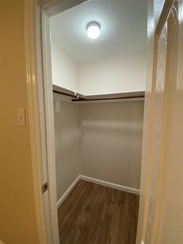 Building Photo - 712 Wedgegate Dr