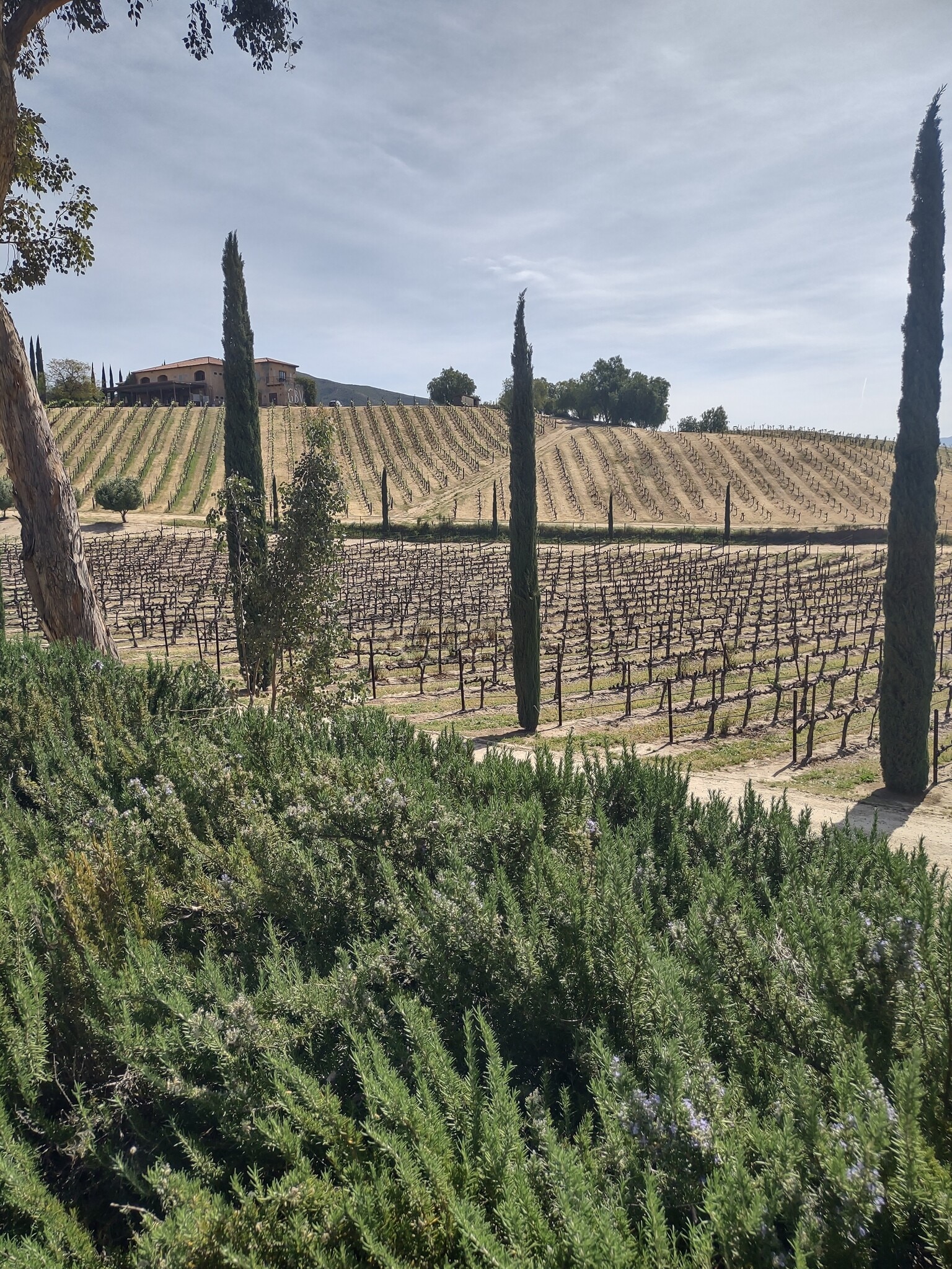 Building Photo - 37850 De Portola Rd