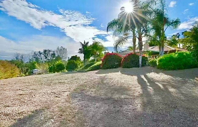 Building Photo - Amazing Location & Sprawling Country Livin...