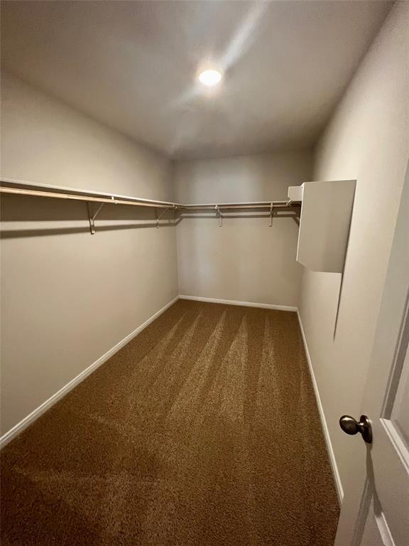 Building Photo - 316 Abbey Ln