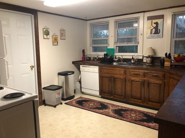 Kitchen - 297 Marlborough Rd