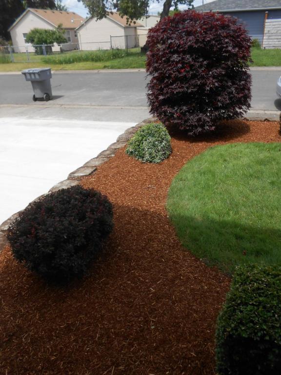 Building Photo - 386 30th Ave SE