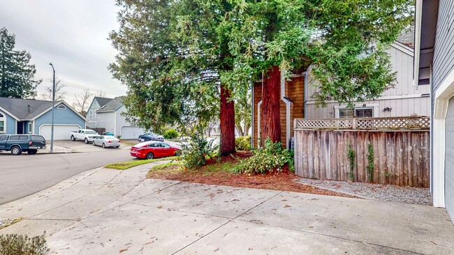 Building Photo - Beautiful Three Bedroom Single Story Home