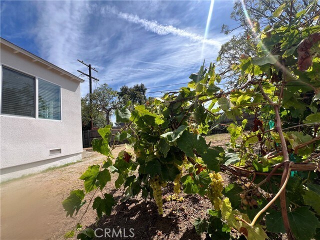 Building Photo - 8122 Belford Ave