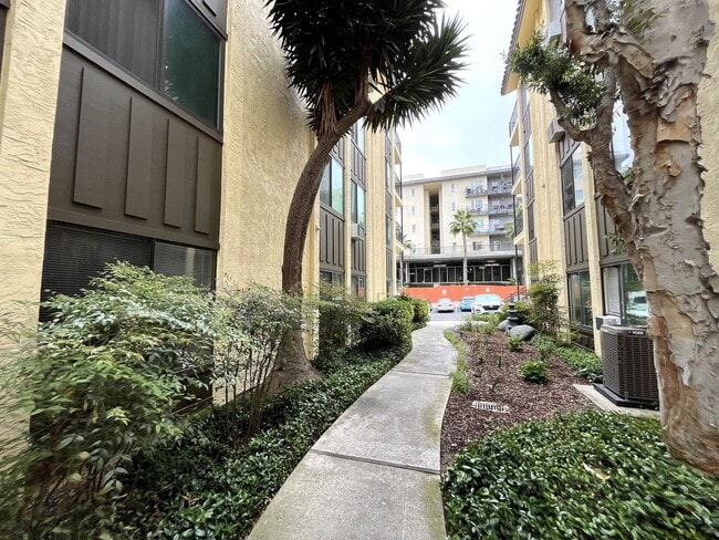 Building Photo - 1BR/1BA North Park Condo - 55+ Community, ...