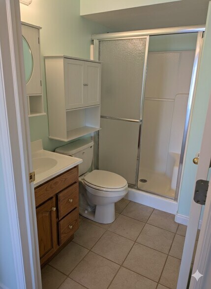Basement Bathroom - 9287 S Avignon Pl