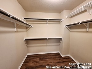 Building Photo - 1616 Tree Run