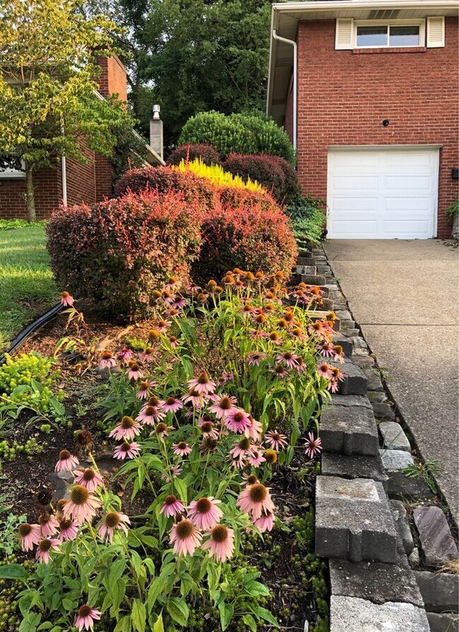 Driveway - 21 Terrace Dr