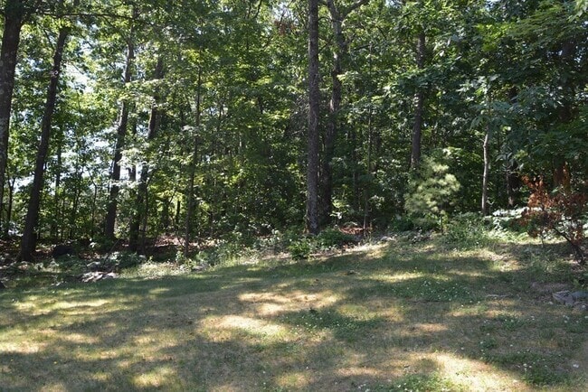 Building Photo - 11 Bluegrass Ln