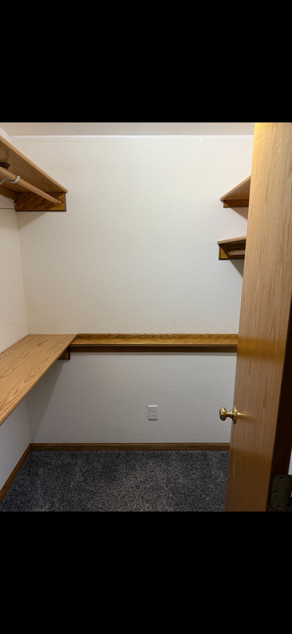 Building Photo - W6527 Woodhaven Cir