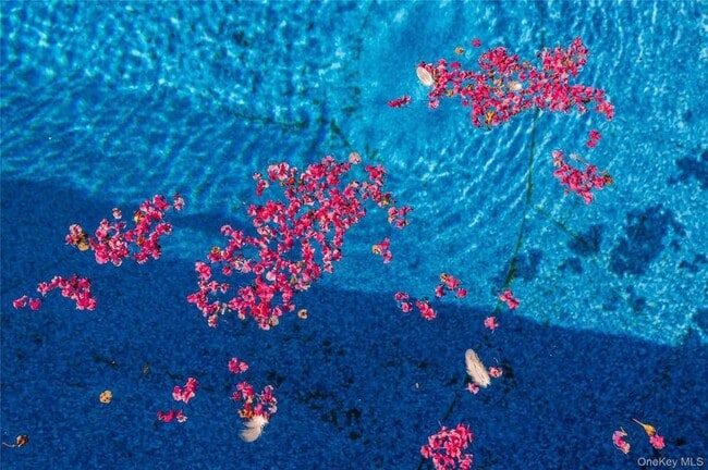 Building Photo - 869 Beach St