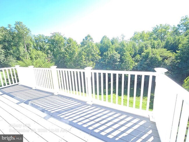 Building Photo - 234 Whirlaway Ln