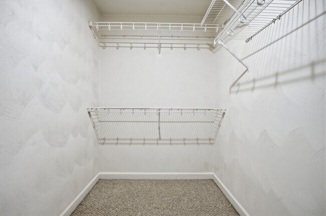 Building Photo - Quailshire Estates 4 Bed, 2.5 Bath Home in Chesapeake, VA