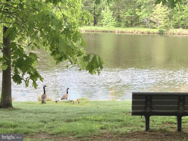 Building Photo - 1701 Lake Shore Crest Dr