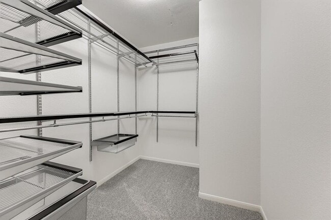 Building Photo - 9316 Bavaria Ln