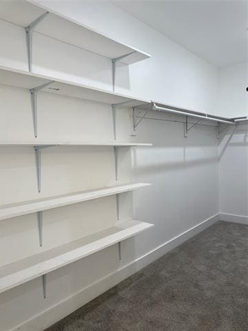 Building Photo - 2707 Carpenter Ave