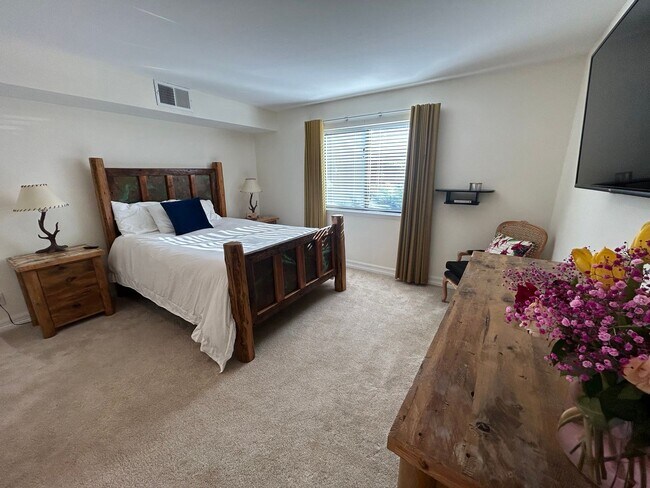 Building Photo - Beautiful Condo in Carbondale!