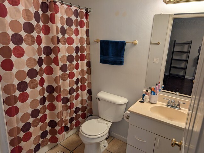 2nd bath - 2443 Chateau Ln