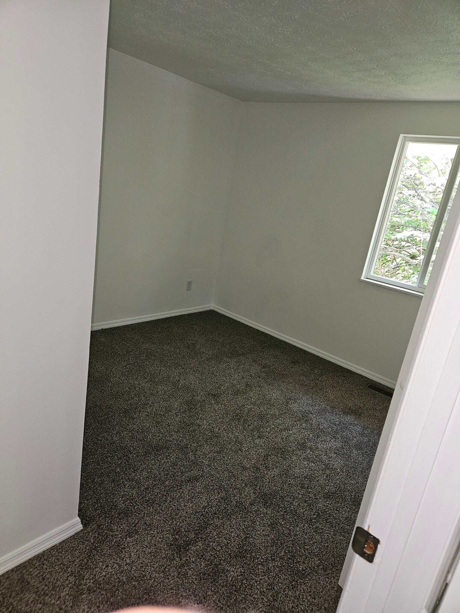 3rd bedroom - 7675 Pomeranian Dr