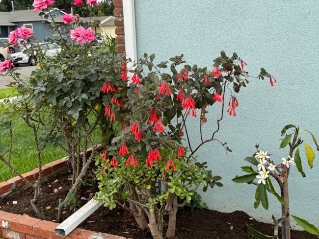 Building Photo - Beautiful 3 bedroom 2 bath HOME . . .  Clo...