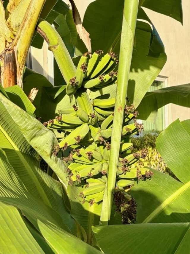 Building Photo - 433 Durham O