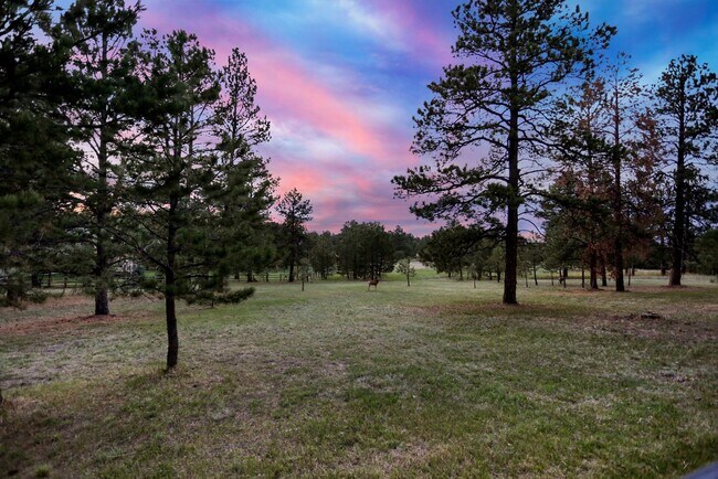 Building Photo - 10503 E Meadow Run