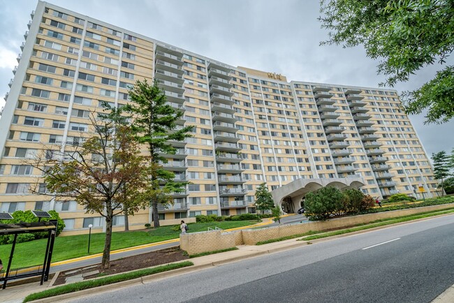 Primary Photo - Stunning 1 Bed 1 Bath Condo In Popular Hig...