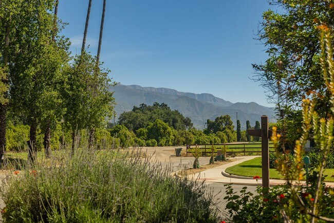 Building Photo - 1121 Mercer Ave