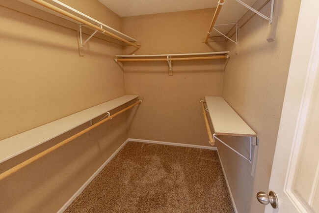 Building Photo - 4207 Black Tail Dr