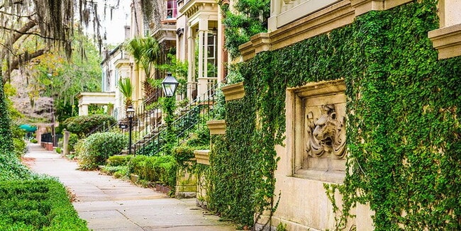 Building Photo - Upscale Historic 3BR/2BA Condo with Rare G...
