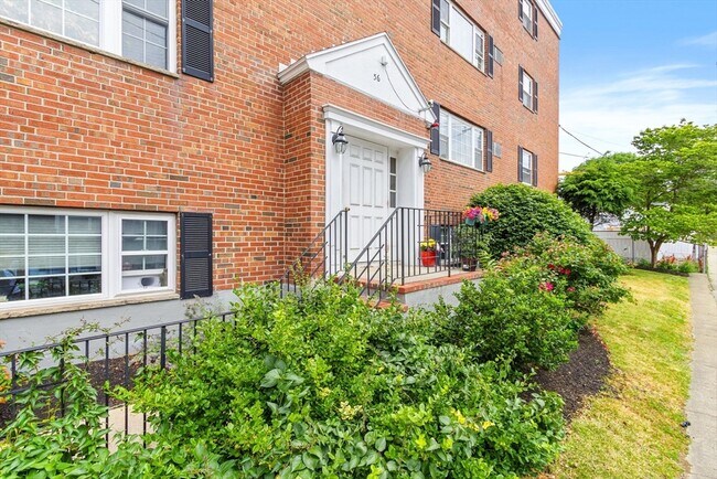 Building Photo - 56 Coffey St