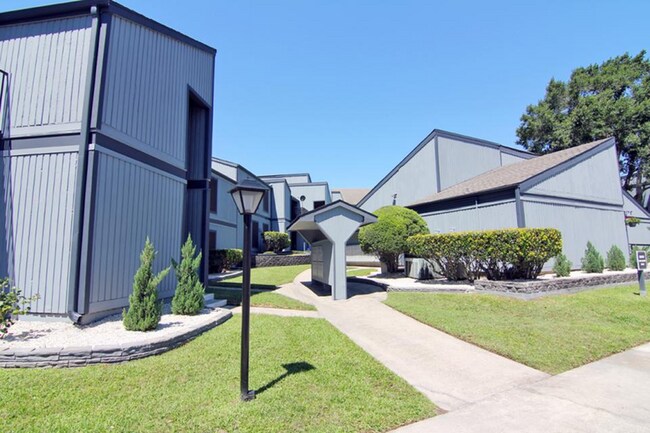 Primary Photo - Cedars