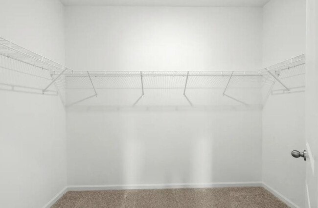 Building Photo - 141 Rother Pl