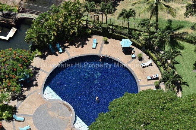 Building Photo - Marco Polo - Studio w/ newer kitchen, 1 re...