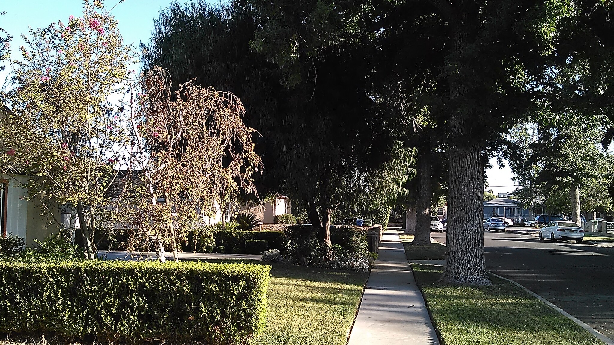 Building Photo - 6661 Enfield Ave