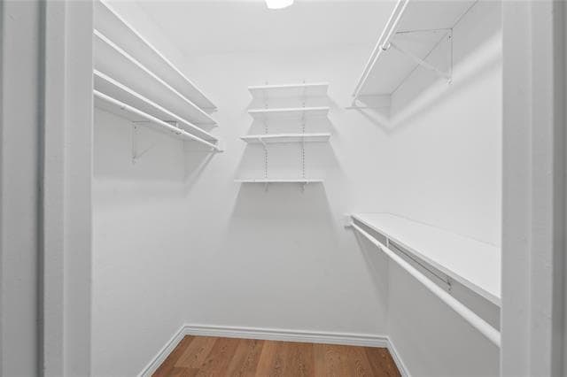 Building Photo - 9214 Vagas Dr