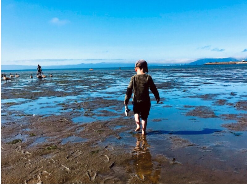 Building Photo - 1000 Central Ave