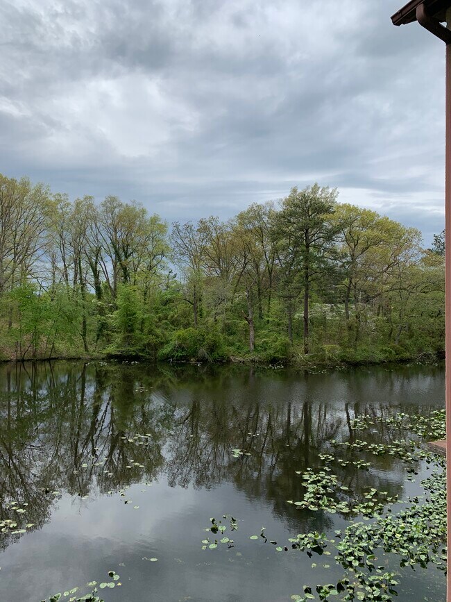 Building Photo - 231 Canal Park Dr