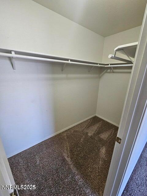 Building Photo - 2399 Albatross Way