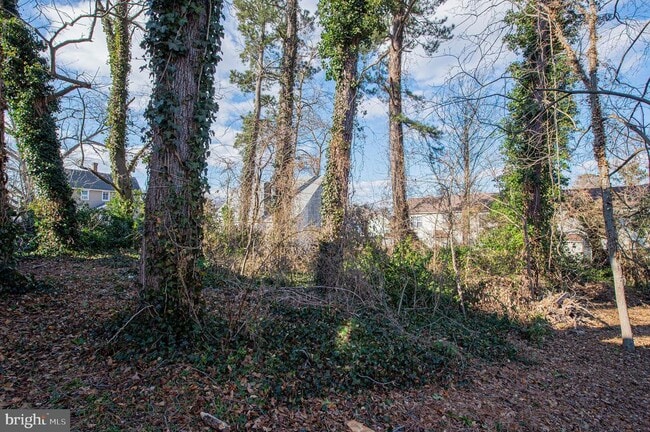 Building Photo - 417 Winder St