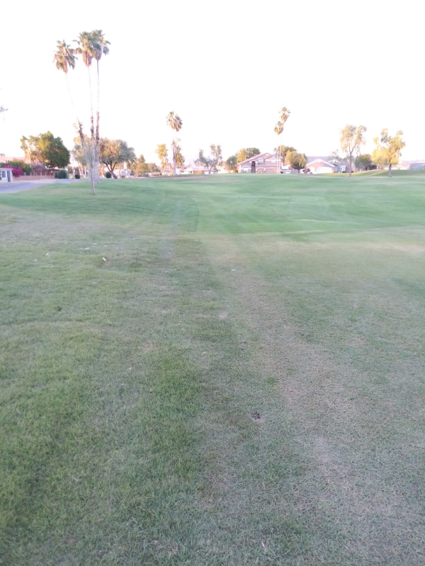 Building Photo - 2329 N Recker Rd