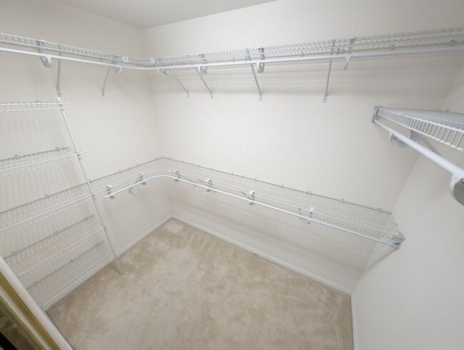 Building Photo - 10900 Royal Highlands St