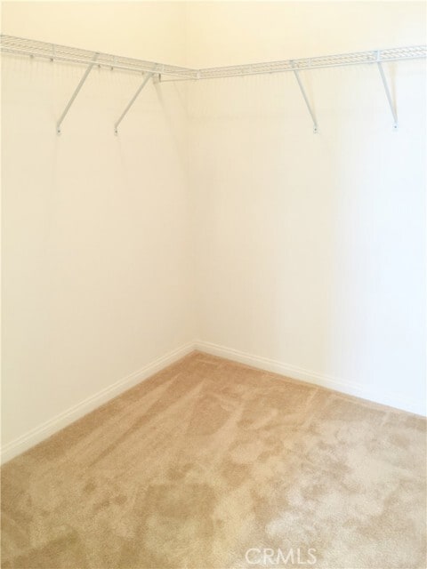 Building Photo - 8428 Tavano Pl