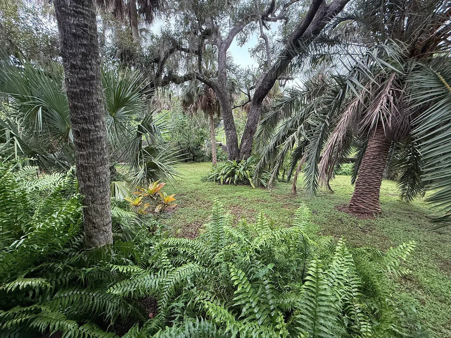 Back yard overlooks Whitaker Bayou - 2795 Riverside Dr