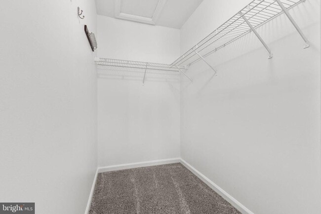 Building Photo - 10704 Cobblestone Dr