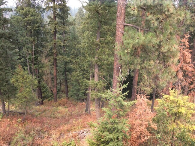 Building Photo - Wonderful 3 Bedroom 3 Bath Mead Area Rancher