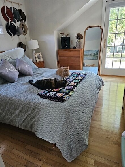 Building Photo - 19 Hilliard St